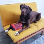 Outward Hound FireHose Fetch Dog Toy, Medium - Image 8