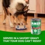 IAMS Proactive Health Adult Wet Dog Food – Lamb & Rice – Classic Ground – 369G Can (13 oz) (6 Pack) - Image 4