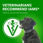 IAMS Proactive Health Adult Wet Dog Food – Lamb & Rice – Classic Ground – 369G Can (13 oz) (6 Pack) - Image 7