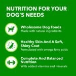 IAMS Proactive Health Adult Wet Dog Food – Lamb & Rice – Classic Ground – 369G Can (13 oz) (6 Pack) - Image 9