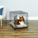 New World Pet Products Folding Metal Dog Crate; Single Door 36" - Image 3