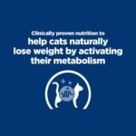 Hill's Prescription Diet Metabolic Weight Management Chicken Flavor Dry Cat Food, Veterinary Diet, 4 lb. Bag (Packaging May Vary) - Image 4