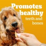 PEDIGREE Marrobone Adult Dog Treats – Real Beef Flavour with Real Bone Marrow - Vitamins Enriched – 3KG Pouch - Image 4