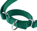 Hyhug Martingale Dog Collar Medium Green |Escape - Proof Heavy Duty Nylon Durable No Slip, Ideal for Training & Daily Walks - Image 6