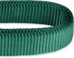 Hyhug Martingale Dog Collar Medium Green |Escape - Proof Heavy Duty Nylon Durable No Slip, Ideal for Training & Daily Walks - Image 7