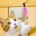3 PCS Feather Teaser Cat Toy,Cat Teasers Cat Feather Wand with Extra Long Wand and Small Bell Natural Feather Refills - Image 7