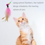 3 PCS Feather Teaser Cat Toy,Cat Teasers Cat Feather Wand with Extra Long Wand and Small Bell Natural Feather Refills - Image 8