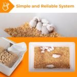 Nimzo Large Lab Cage - Rat & Mouse Breeding Cage, 3-Pack with 500ml Bottle - Image 6