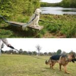 MayPaw Heavy Duty Rope Dog Leash, 3/4/5/6/7/8/10/12/15 FT Nylon Pet Leash, Soft Padded Handle Thick Lead Leashes for Large Medium Dogs (Black, 1/2" * 6') - Image 9