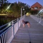 MayPaw Heavy Duty Rope Dog Leash, 3/4/5/6/7/8/10/12/15 FT Nylon Pet Leash, Soft Padded Handle Thick Lead Leashes for Large Medium Dogs (Black, 1/2" * 6') - Image 10