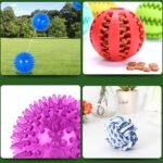 Dog Toy Balls for Small Dogs, 12 Pack Interactive Dog Toys for Small Breed 0-15 lbs, Includes Rubber, Squeak & Rope Balls - Image 5