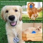 Dog Toy Balls for Small Dogs, 12 Pack Interactive Dog Toys for Small Breed 0-15 lbs, Includes Rubber, Squeak & Rope Balls - Image 6
