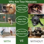 Dog Toy Balls for Small Dogs, 12 Pack Interactive Dog Toys for Small Breed 0-15 lbs, Includes Rubber, Squeak & Rope Balls - Image 7