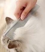 Dog Grooming Scissors with Safety Round Tips, Heavy Duty Titanium Pet Grooming Trimmer Kit, Professional Thinning Shears, Straight Scissors with Comb for Dogs and Cats (Set of 3) - Image 7