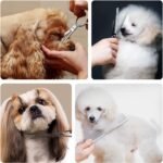 Dog Grooming Scissors with Safety Round Tips, Heavy Duty Titanium Pet Grooming Trimmer Kit, Professional Thinning Shears, Straight Scissors with Comb for Dogs and Cats (Set of 3) - Image 8