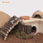 Niteangel Wooden Ladder Bridge, Hamster Mouse Rat Rodents Toy, Small Animal Chew Toy - Image 4