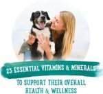 Beneful Prepared Meals Wet Dog Food, Rice and Lamb Stew - 283 g Tub (8 Pack) - Image 7