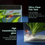 3 Gallon Ultra Clear Glass Fish Tank, Rimless Low Iron Aquarium for Betta/Nano/Goldfish/Snail/Shrimp, Small Fish Tank with Fish Net & Cleaning Tools - Image 4