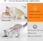 Elevated Cat Food Bowls,Raised Cat Bowls for Food and Water,Tilted Food Feeding Dishes with Stand for Cats and Small Dogs - Image 4