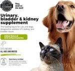 Urinary Tract, UTI, Kidney & Bladder Formula for Cats and Dogs, 6 oz Bottle, (2 Pack) - Image 6