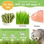50g Cat Grass Teething Stick for Cat, Freezed Dried Cats Grass Treats Snacks, Edible Cats Chew Toys for Teeth Cleaning and Hairball Removal - Image 3