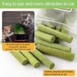 50g Cat Grass Teething Stick for Cat, Freezed Dried Cats Grass Treats Snacks, Edible Cats Chew Toys for Teeth Cleaning and Hairball Removal - Image 8