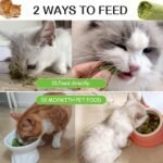 50g Cat Grass Teething Stick for Cat, Freezed Dried Cats Grass Treats Snacks, Edible Cats Chew Toys for Teeth Cleaning and Hairball Removal - Image 9