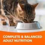 IAMS Proactive Health Sensitive Digestion & Skin Adult Dry Cat Food – with Turkey – 1.36KG (2.9LB) Bag - Image 4