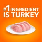 IAMS Proactive Health Sensitive Digestion & Skin Adult Dry Cat Food – with Turkey – 1.36KG (2.9LB) Bag - Image 5