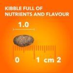IAMS Proactive Health Sensitive Digestion & Skin Adult Dry Cat Food – with Turkey – 1.36KG (2.9LB) Bag - Image 10