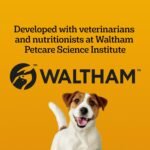 PEDIGREE MARROBONE Dog Treats - Bacon & Cheese Flavour - 680g Pouch - Image 7