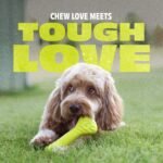 Benebone Natural Rubber Dog Bone Chew Toy, 100% Natural Rubber - Image 3