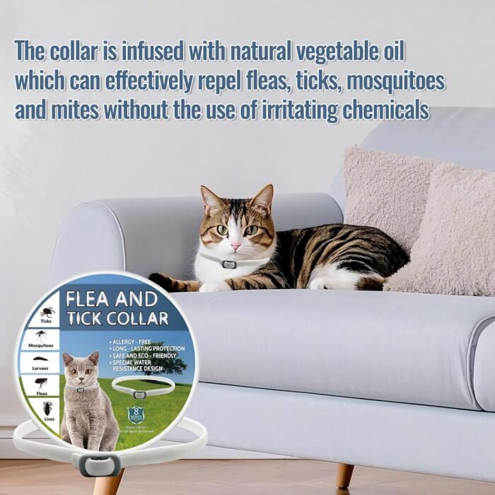 Cat Flea Collar, Adjustable Flea and Tick Collar for Cats and Kittens ...