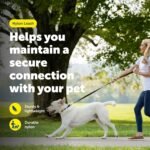 PetSafe Dog Leash - Strong, Durable, Traditional Style Leash with Easy-to-Use Bolt Snap - Nylon - 3/8" x 6', Black - LSH-3/8-X-6-BLK - Image 3