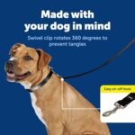 PetSafe Dog Leash - Strong, Durable, Traditional Style Leash with Easy-to-Use Bolt Snap - Nylon - 3/8" x 6', Black - LSH-3/8-X-6-BLK - Image 4