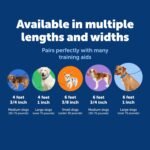 PetSafe Dog Leash - Strong, Durable, Traditional Style Leash with Easy-to-Use Bolt Snap - Nylon - 3/8" x 6', Black - LSH-3/8-X-6-BLK - Image 6