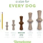 Benebone Zaggler Rolling Dog Chew Toy for Aggressive Chewers, Real Bacon, Made in USA, Medium - Image 5