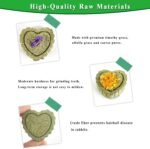 Rabbit Chew Toys for Teeth, FIPASEN 18PCS Natural Timothy Hay Chew Toy, Improve Dental Health for Bunny/Chinchilla/Guinea Pig/Hamsters/Holland Lop, Small Rodent Pet Molar Teeth Treats Toys - Image 5