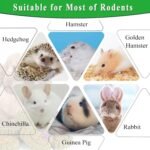 Rabbit Chew Toys for Teeth, FIPASEN 18PCS Natural Timothy Hay Chew Toy, Improve Dental Health for Bunny/Chinchilla/Guinea Pig/Hamsters/Holland Lop, Small Rodent Pet Molar Teeth Treats Toys - Image 6