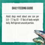 Beyond Natural Wet Dog Food, Alaskan Cod, Salmon & Sweet Potato Ground Entree - 368 g Can (12 Pack) - Image 12