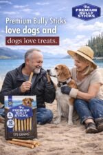 Bully Sticks for Dogs/Chien - 6 Inches, 10 Sticks - All Natural Odor Grass Fed Long Lasting Dog Chew Treats - No Artificial Flavor - Large Single Ingredient Beef Pizzle - Image 6
