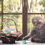 20PCS Cat Toy Balls, 3cm Cat Interactive Toys Balls, Colorful Pet Pom Pom Balls Kitten Toys Cat Toys, Soft Toys Cat Ball Kitten Chew Toys Pet Supplies for Cats Kittens Pet Dog - Image 6