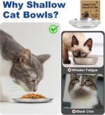 Stainless Steel Cat Food Bowls, Shallow Wide Cat Plates Whisker Friendly, Feeding Dishes for Indoor Kitten, Rabbit and Small Dogs (4 pcs, 6.7") - Image 4