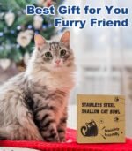 Stainless Steel Cat Food Bowls, Shallow Wide Cat Plates Whisker Friendly, Feeding Dishes for Indoor Kitten, Rabbit and Small Dogs (4 pcs, 6.7") - Image 8