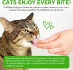 Cat Hairball Support Chews, Crunchy & Soft Treats for Healthy Digestion Wellness, Skin Health & Shiny Coat Care, Chicken Flavor, 30-Day Supply - Image 5