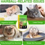 Cat Hairball Support Chews, Crunchy & Soft Treats for Healthy Digestion Wellness, Skin Health & Shiny Coat Care, Chicken Flavor, 30-Day Supply - Image 6