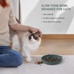 Coomazy Silicone Slow Feeder Cat Bowl, Slow Down Pet Eating Speed for Prevent Choking Promote Digestion (Green) - Image 7