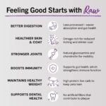 Stella & Chewy's Freeze-Dried Raw Cat Dinner Morsels – Grain Free, Protein Rich Cat & Kitten Food – Sea-Licious Salmon & Cod Recipe – 99g Bag - Image 5