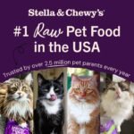 Stella & Chewy's Freeze-Dried Raw Cat Dinner Morsels – Grain Free, Protein Rich Cat & Kitten Food – Sea-Licious Salmon & Cod Recipe – 99g Bag - Image 8