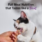 Stella & Chewy's Freeze-Dried Raw Cat Dinner Morsels – Grain Free, Protein Rich Cat & Kitten Food – Sea-Licious Salmon & Cod Recipe – 99g Bag - Image 12